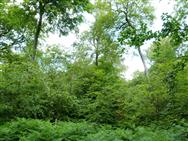 Image of property