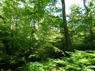 Image of property
