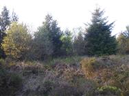 Image of property