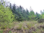 Image of property
