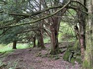 Image of property