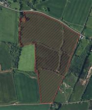 Image of property