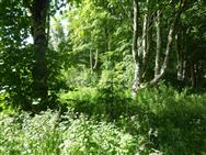 Image of property