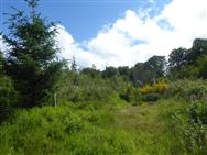 Image of property