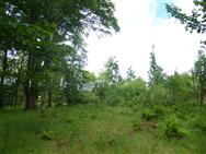 Image of property
