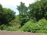 Image of property