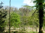 Image of property