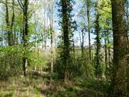 Image of property