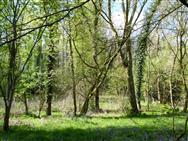 Image of property