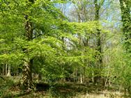 Image of property