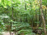 Image of property