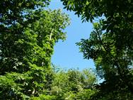 Image of property