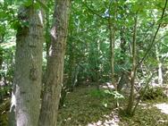 Image of property