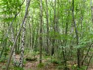 Image of property