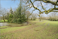 Image of property