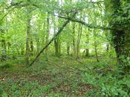 Image of property