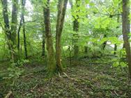 Image of property