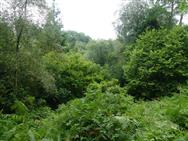 Image of property