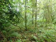 Image of property