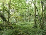 Image of property