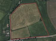 Click to view more details