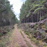 Image of property