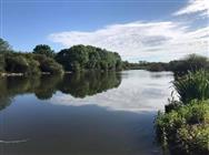 Image of property