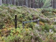 Image of property