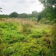 Image of property