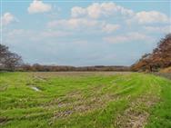 Image of property