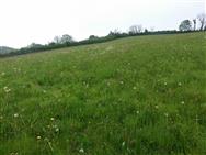 For Sale - Carmarthen