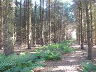 Image of property