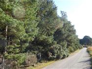 Image of property