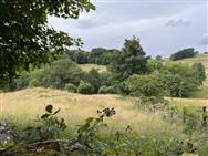 Image of property