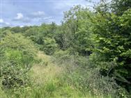 Image of property