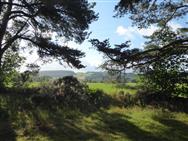Image of property