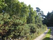 Image of property