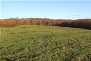 Image of property