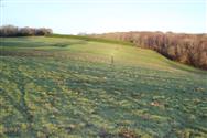 Image of property