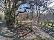 Image of property