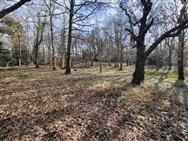 Image of property