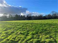 Click to view more details