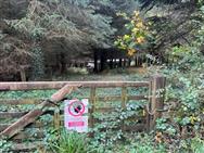 Image of property