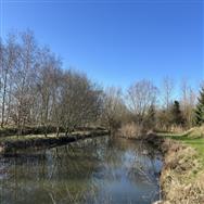 Image of property
