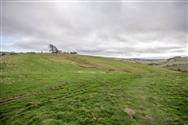 Image of property
