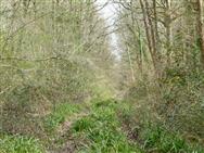 Image of property