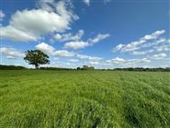 Image of property