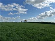 Image of property
