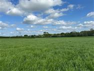 Image of property