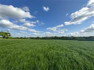 Image of property